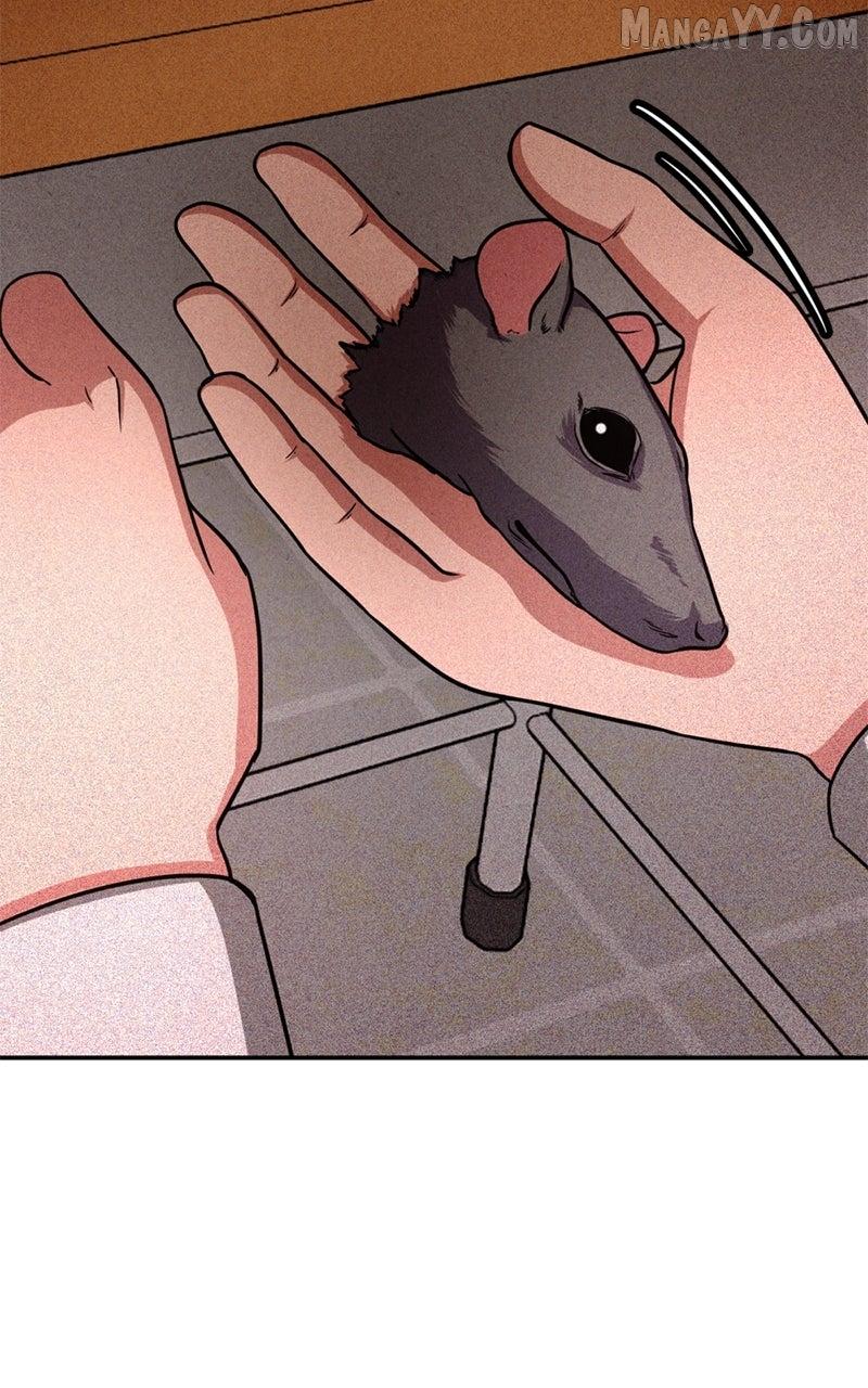 Read Shell chapter 11 image 93 on Lezhin