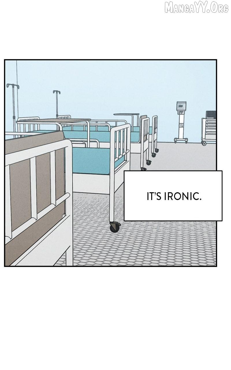 Read Shell chapter 22 image 1 on Lezhin