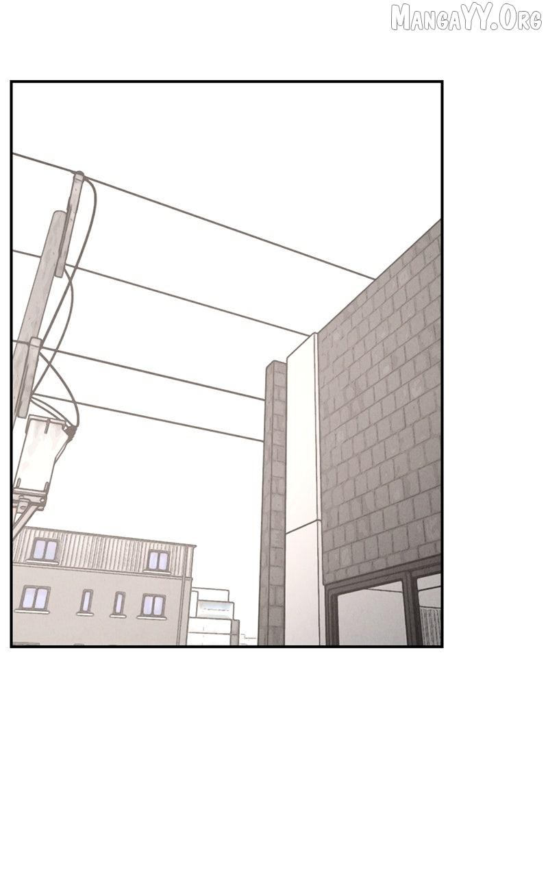 Read Shell chapter 23 image 74 on Lezhin