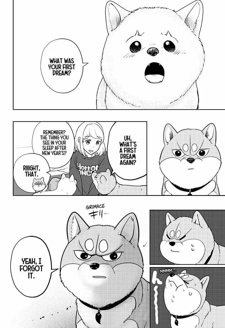 Shiba-Tsuki Bukken Chapter 17 page 22 - 