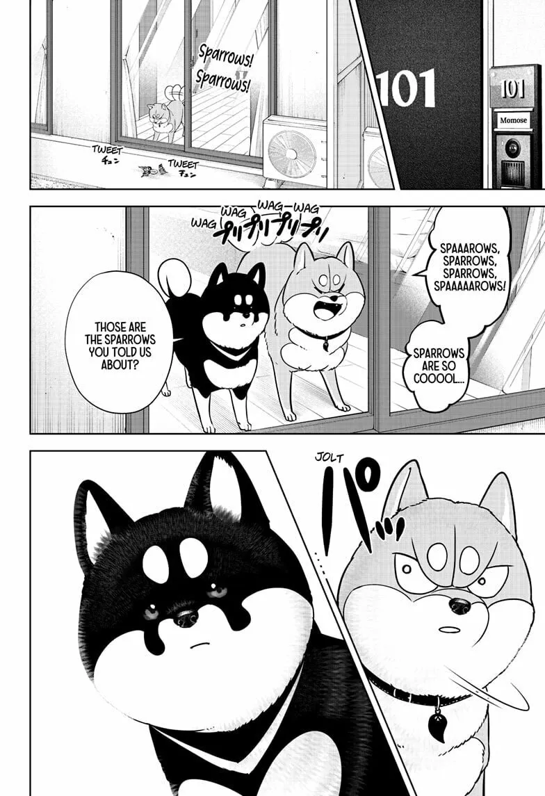 Shiba-Tsuki Bukken Chapter 22 page 8 - 