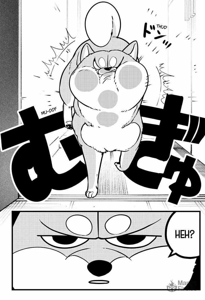 Shiba-Tsuki Bukken Chapter 9 page 21 - 