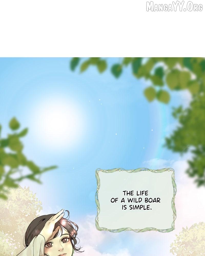 Read Shifting Tails chapter 1 image 1 on Lezhin