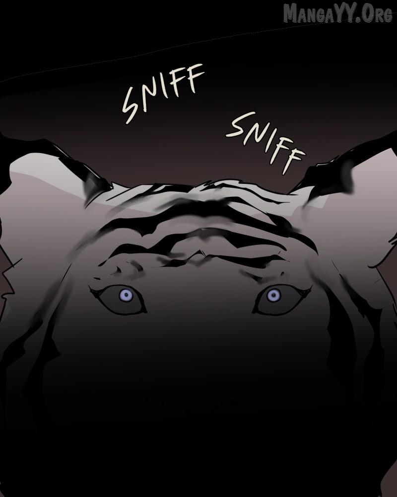 Read Shifting Tails chapter 1 image 31 on Lezhin