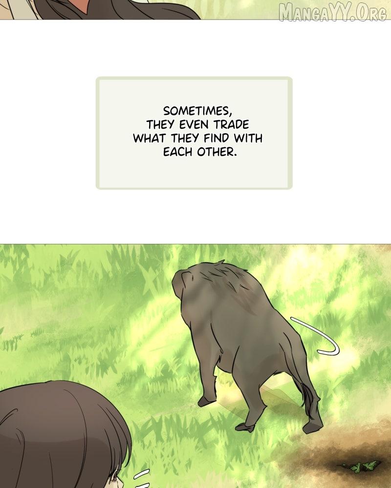 Read Shifting Tails chapter 1 image 4 on Lezhin
