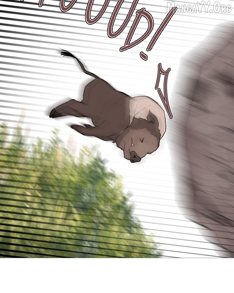 Read Shifting Tails chapter 1 image 65 on Lezhin
