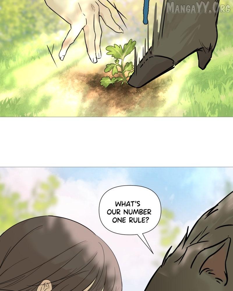 Read Shifting Tails chapter 1 image 7 on Lezhin