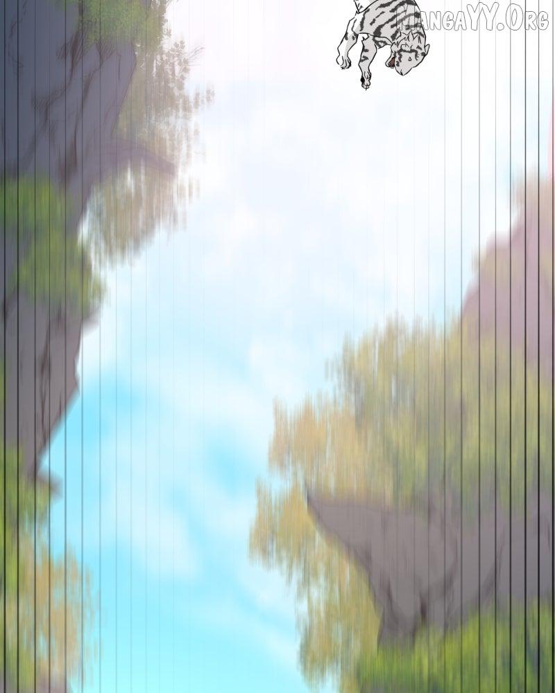Read Shifting Tails chapter 1 image 78 on Lezhin