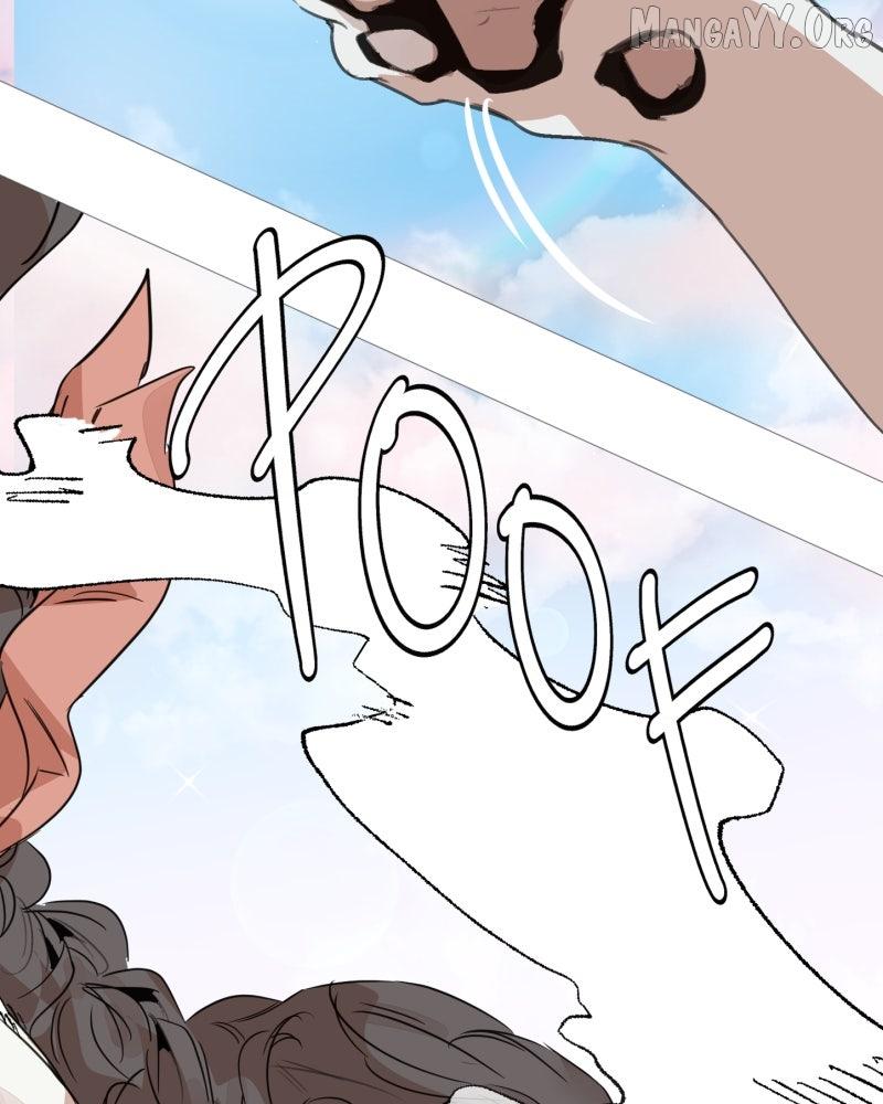 Read Shifting Tails chapter 1 image 89 on Lezhin