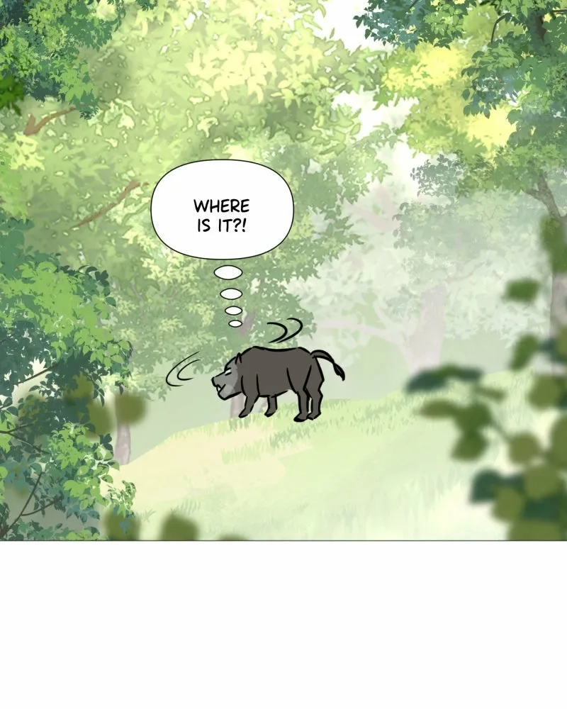 Read Shifting Tails chapter 10 image 46 on Lezhin