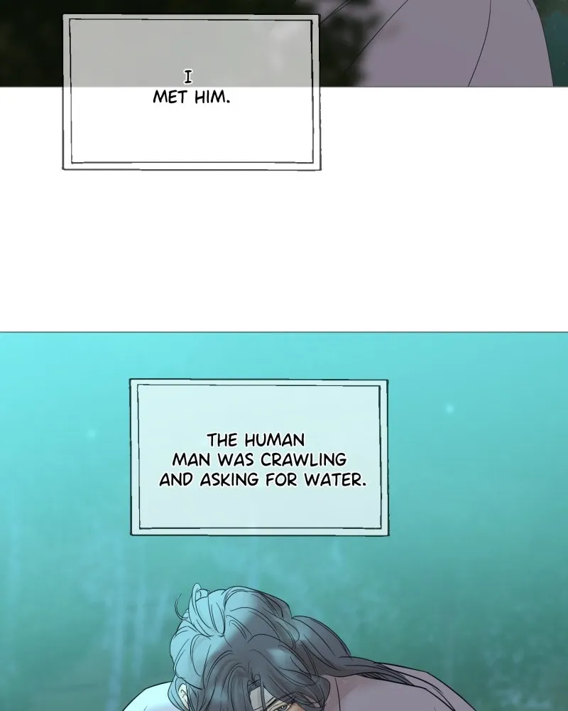 Read Shifting Tails chapter 12.99 image 2 on Lezhin