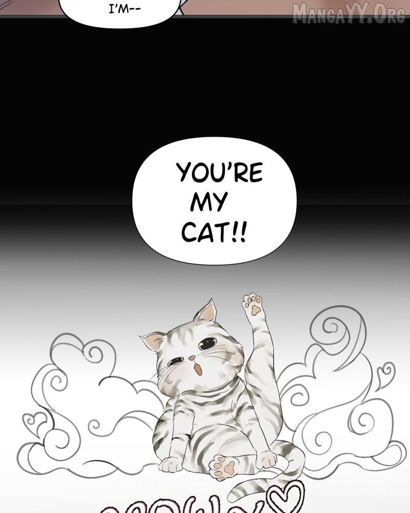 Read Shifting Tails chapter 2 image 37 on Lezhin