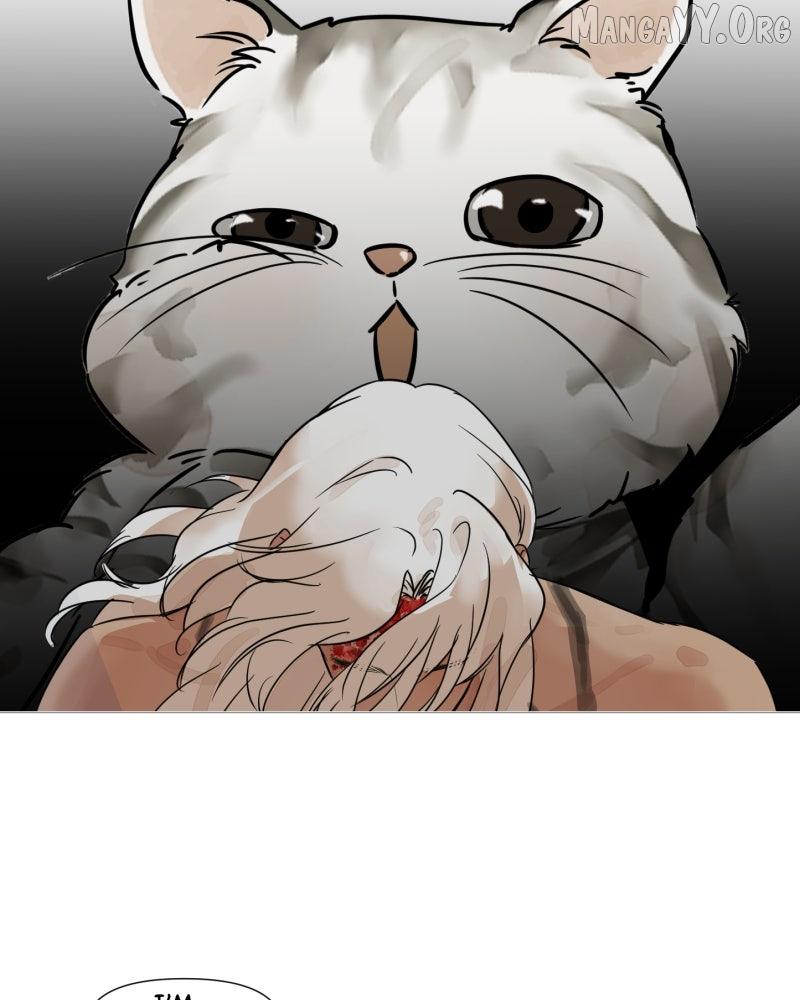 Read Shifting Tails chapter 2 image 39 on Lezhin