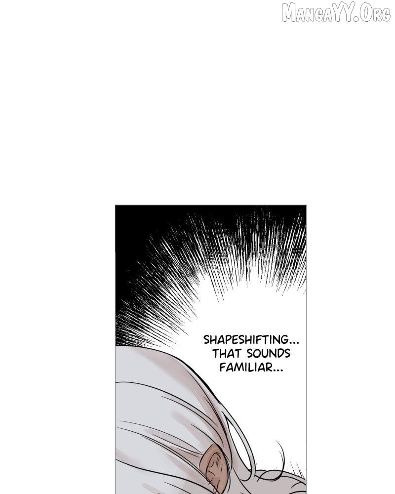 Read Shifting Tails chapter 2 image 41 on Lezhin