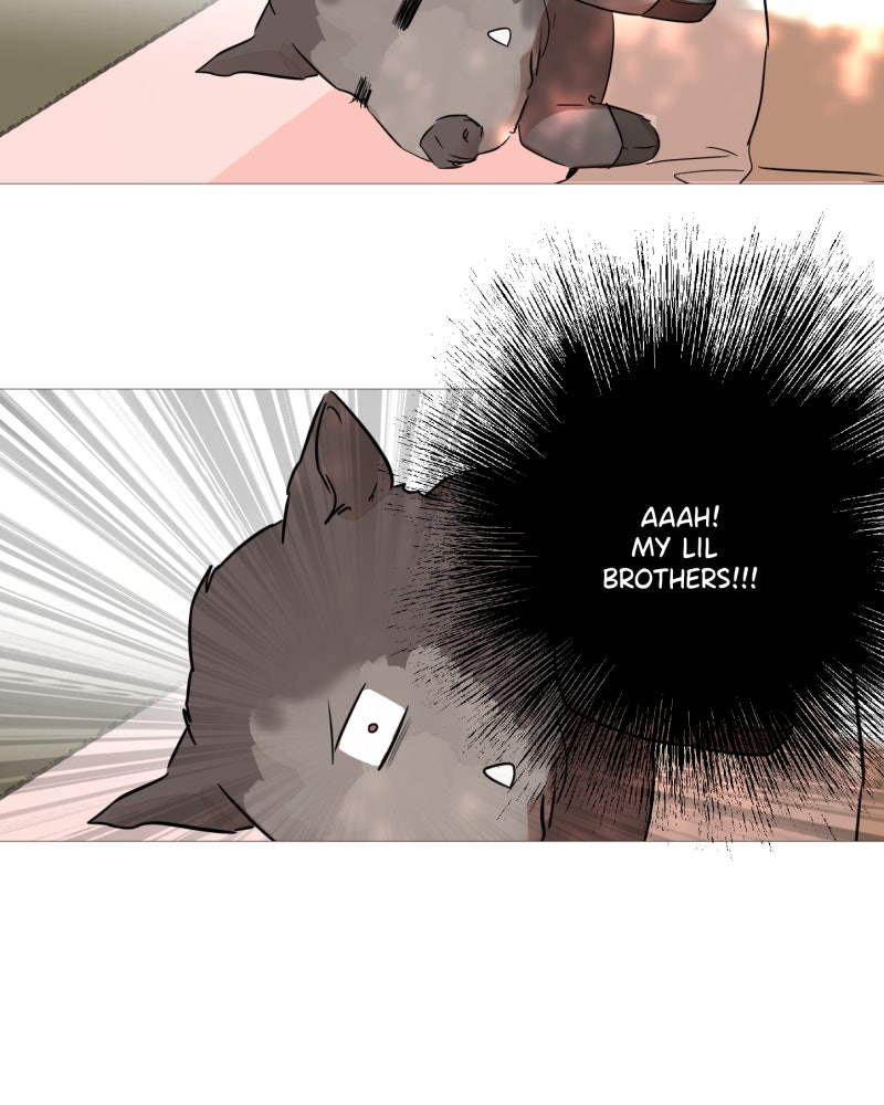 Read Shifting Tails chapter 5 image 25 on Lezhin