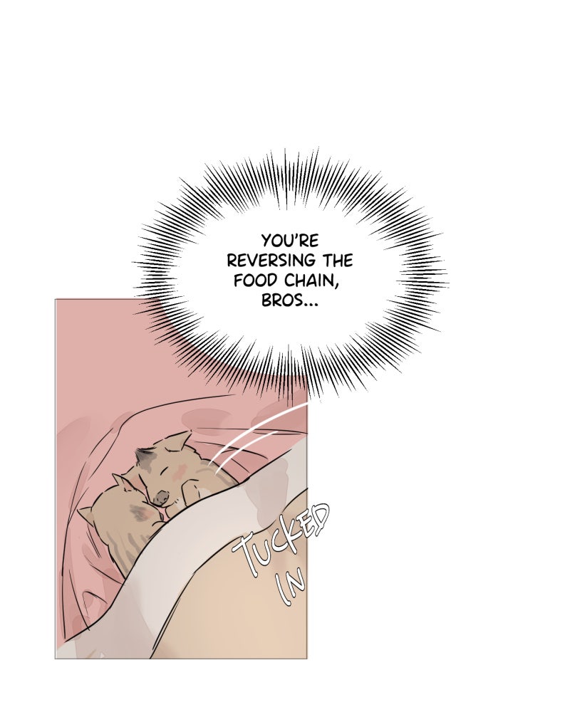 Read Shifting Tails chapter 5 image 27 on Lezhin