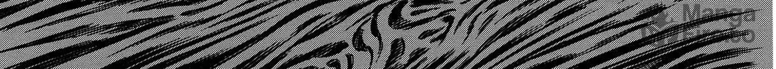 Read Shigahime chapter 15 image 41 on Lezhin