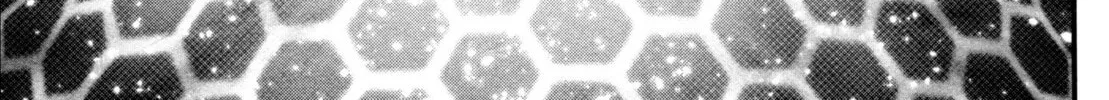 Read Shin Mazinger Zero chapter 22 image 45 on Lezhin
