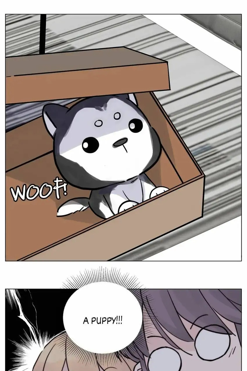 Read Shine and Sweet (Colored) chapter 119.5 image 26 on Lezhin