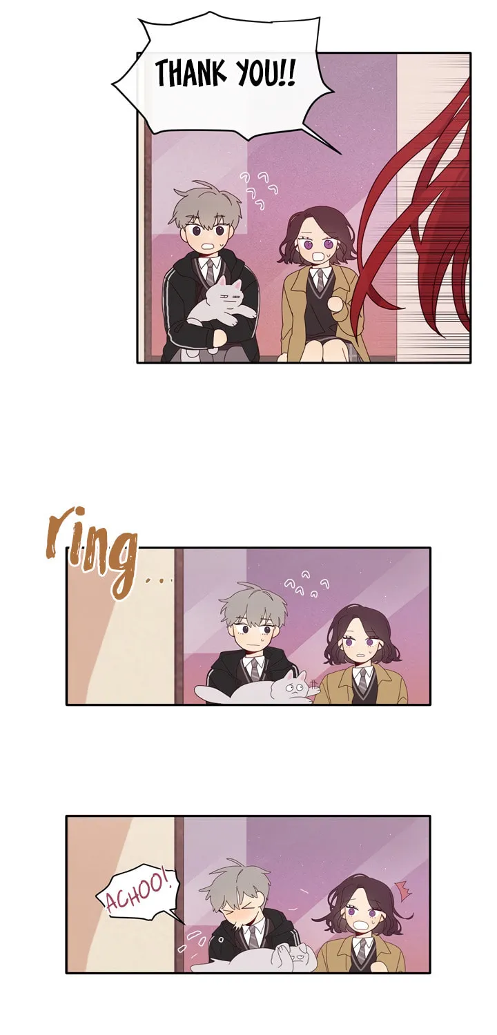 Read Shine Bright Like a Sunshine chapter 7 image 28 on Lezhin