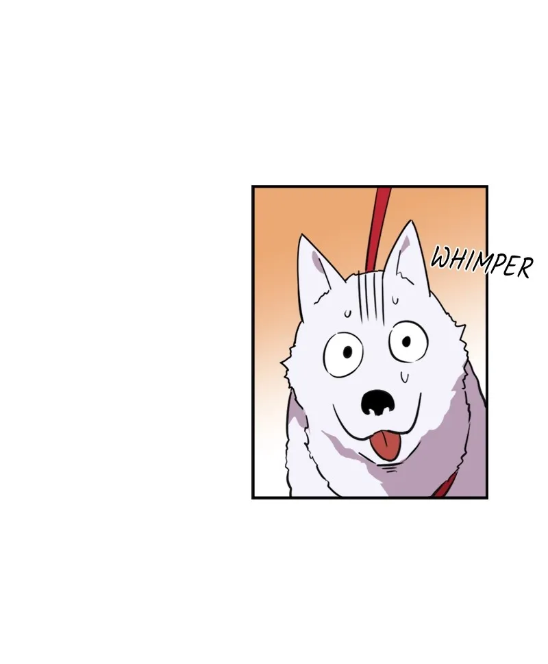 Shingi: The Spirit's Playbook Chapter 1 page 80 - 