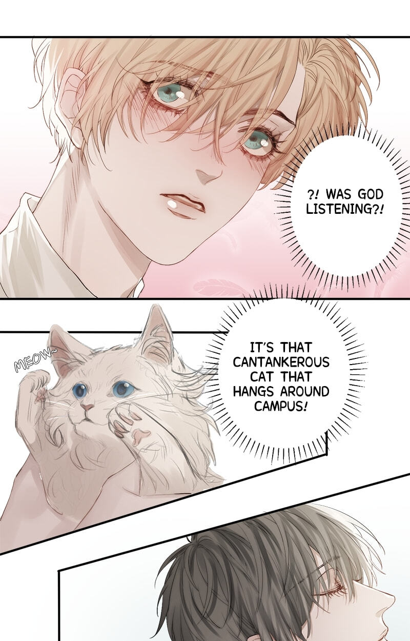 Read Shining Star (CLAMP) chapter 4 image 18 on Lezhin