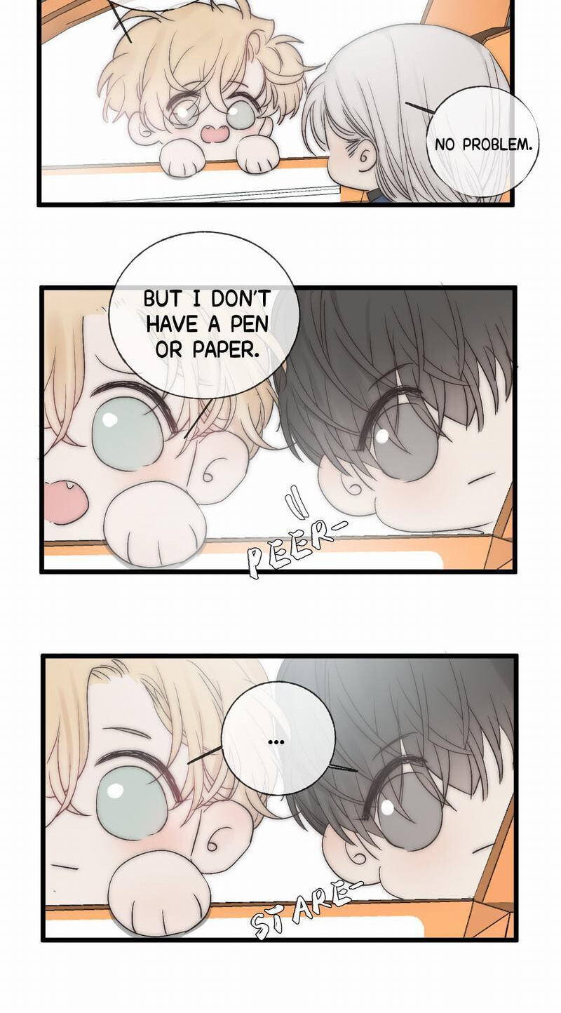 Read Shining Star (CLAMP) chapter 46 image 5 on Lezhin