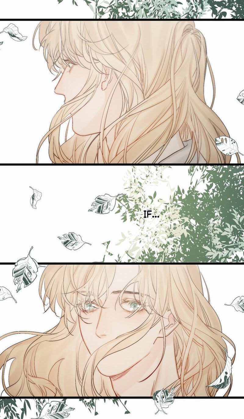 Read Shining Star (CLAMP) chapter 48.1 image 33 on Lezhin