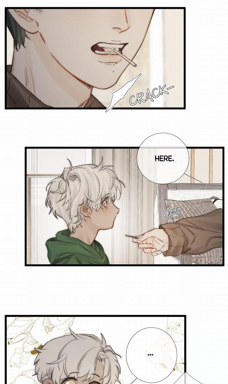 Read Shining Star (CLAMP) chapter 48.2 image 12 on Lezhin
