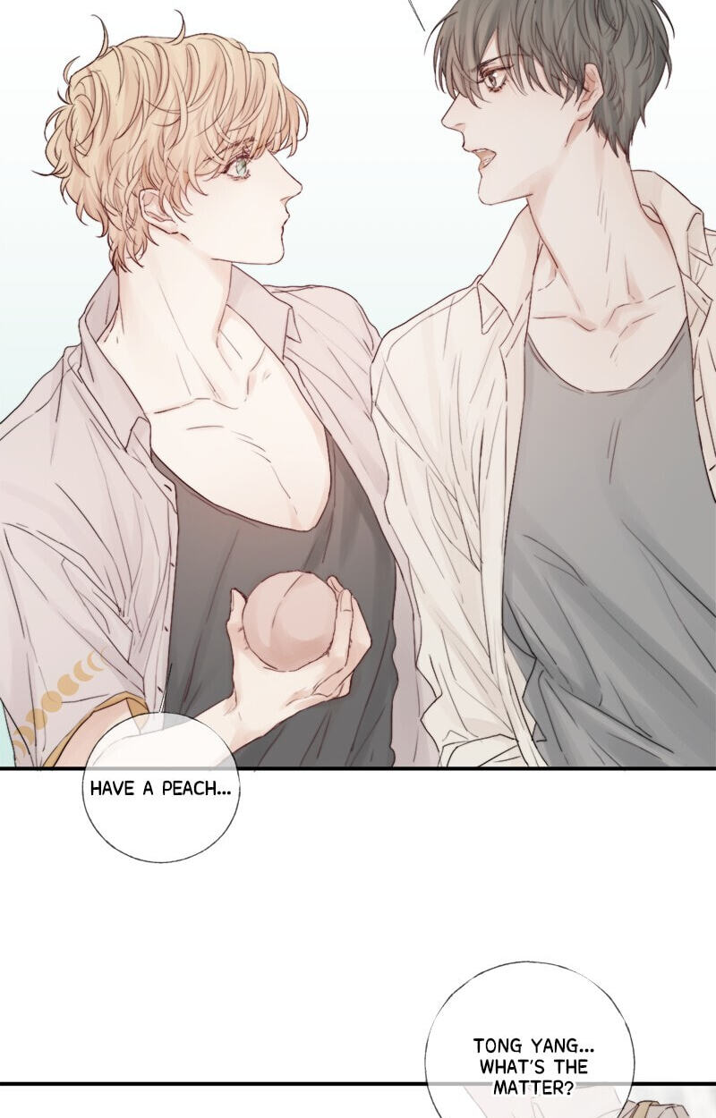 Read Shining Star (CLAMP) chapter 7 image 24 on Lezhin