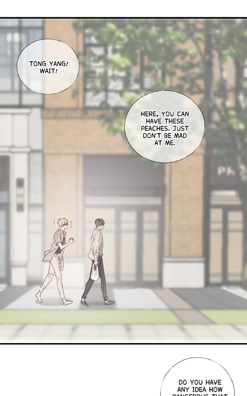 Read Shining Star (CLAMP) chapter 8 image 27 on Lezhin
