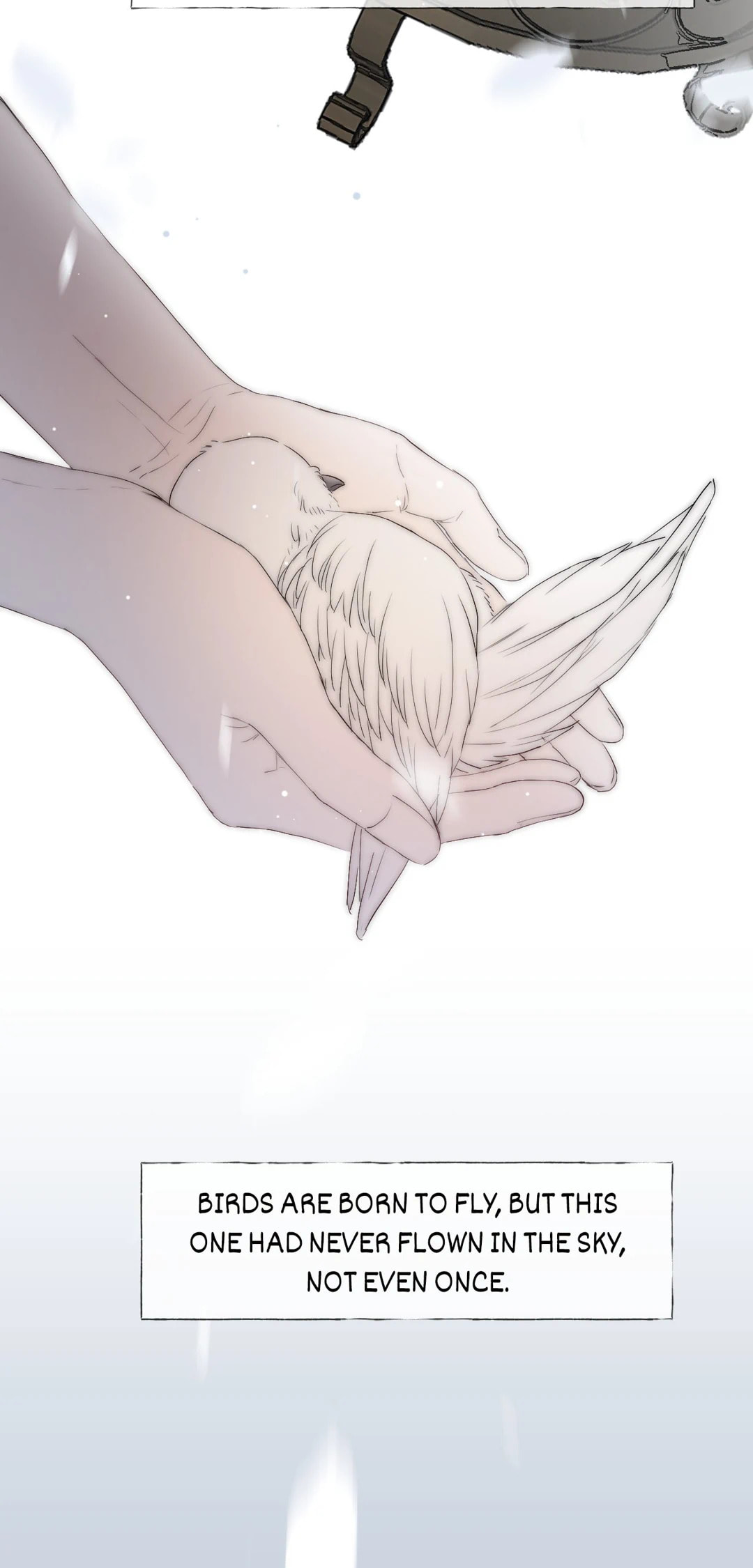 Read Shining Star (Colored) chapter 25.5 image 16 on Lezhin