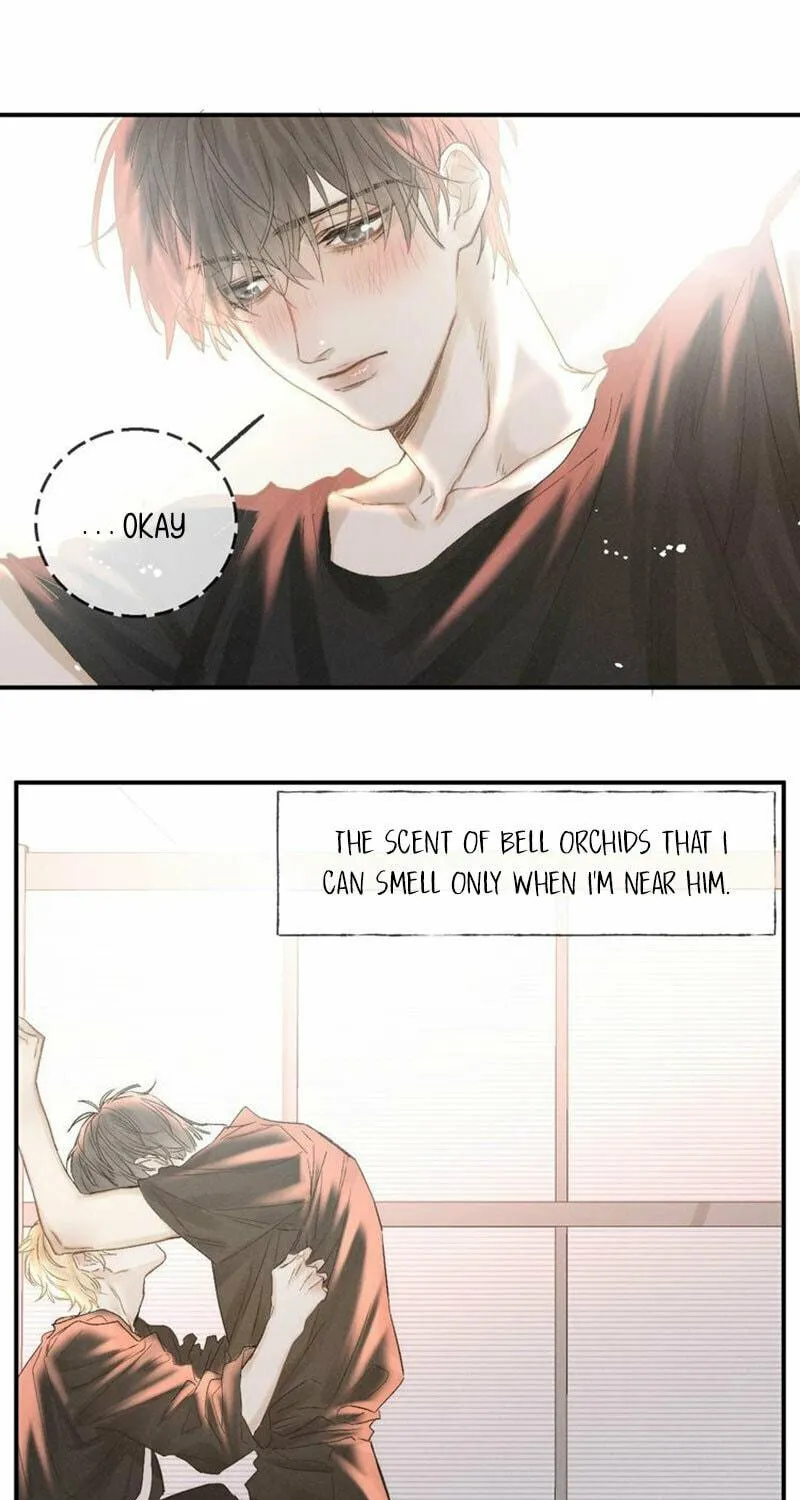 Read Shining Star (Colored) chapter 35 image 19 on Lezhin