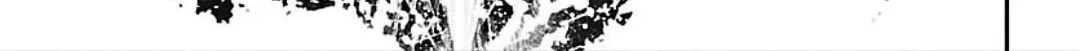 Read Shinju no Nectar chapter 20 image 57 on Lezhin