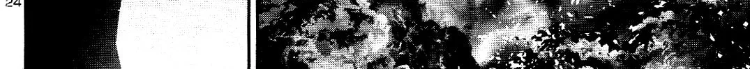 Read Shinju no Nectar chapter 26 image 44 on Lezhin