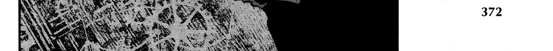 Read Shinju no Nectar chapter 27 image 45 on Lezhin