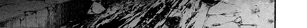 Read Shinju no Nectar chapter 34 image 57 on Lezhin