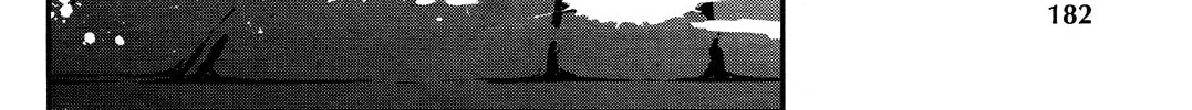 Read Shinju no Nectar chapter 38 image 43 on Lezhin