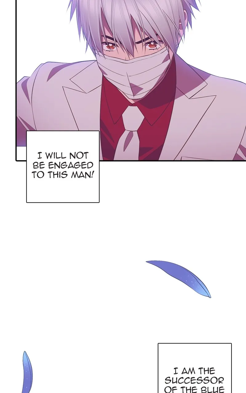 Read SHIRAI chapter 1 image 16 on Lezhin