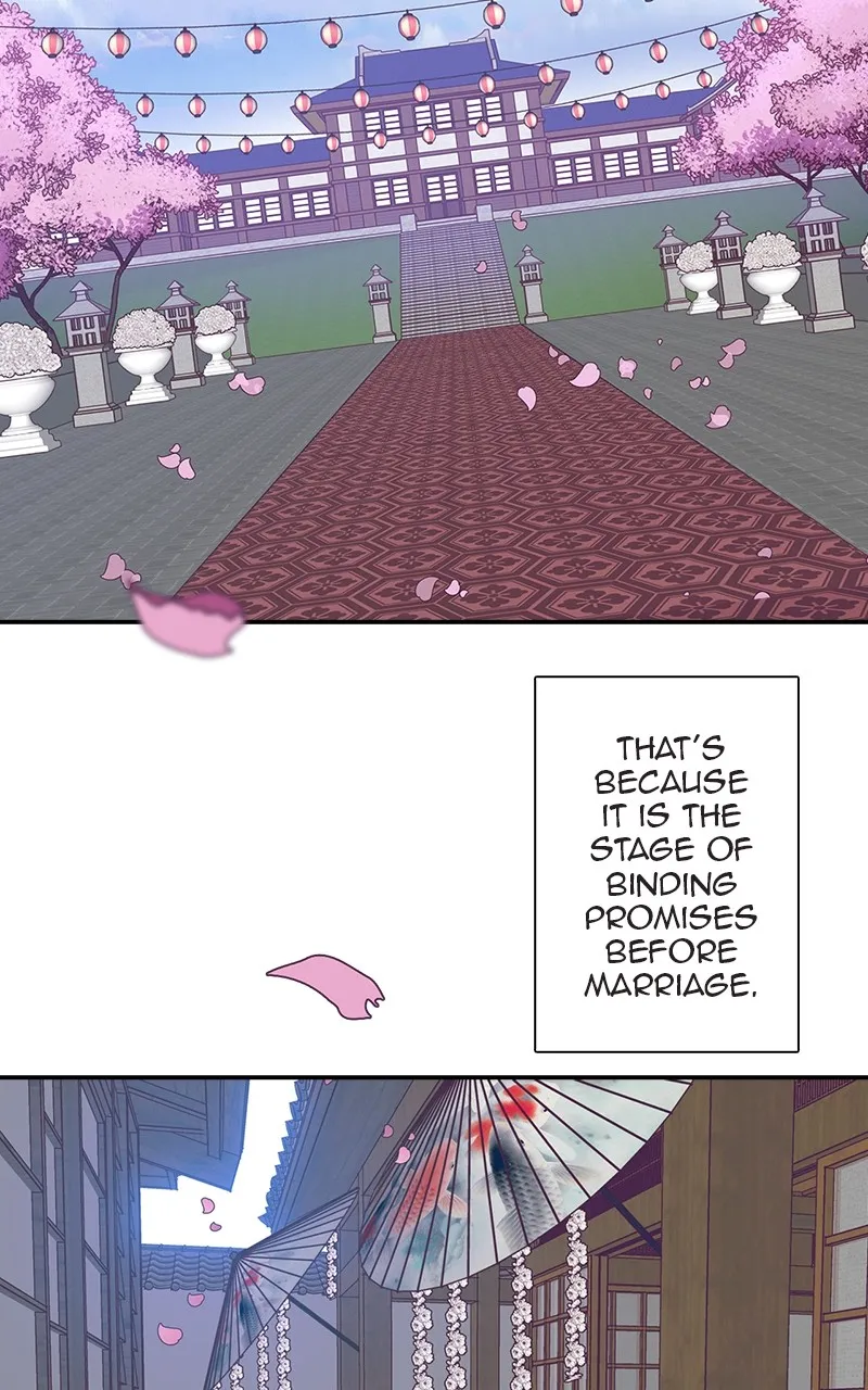 Read SHIRAI chapter 1 image 4 on Lezhin