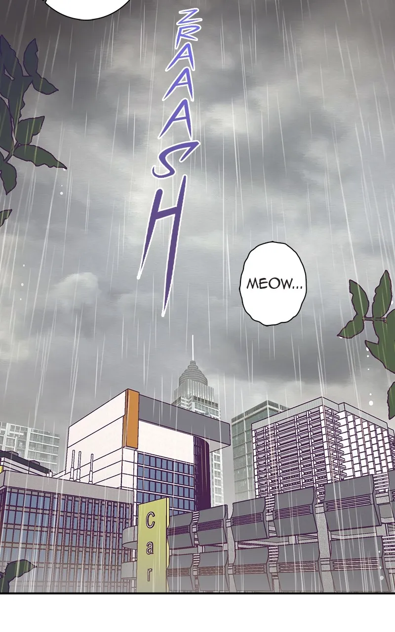 Read SHIRAI chapter 1 image 64 on Lezhin