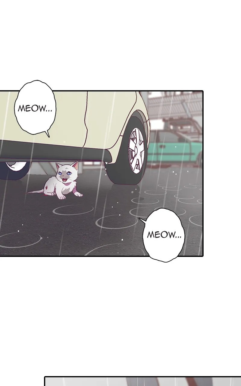 Read SHIRAI chapter 1 image 65 on Lezhin