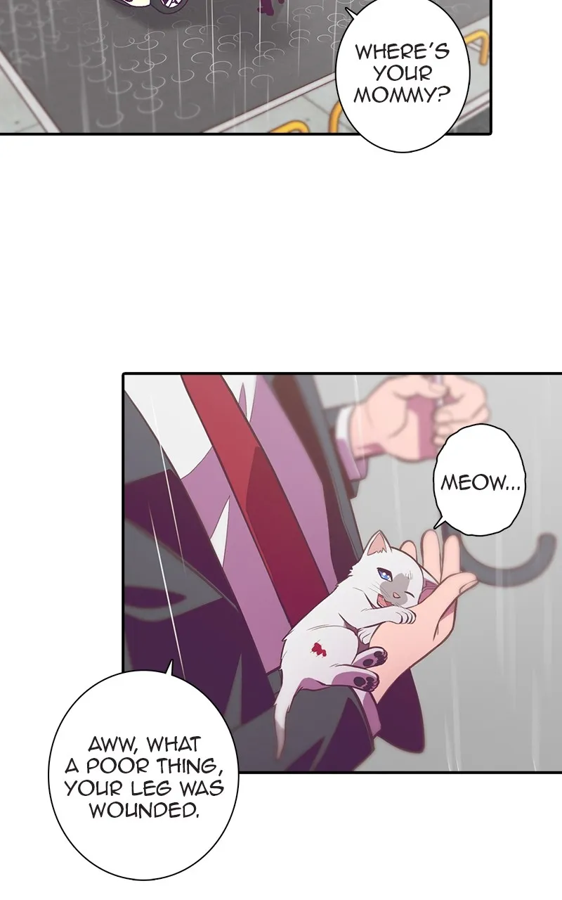 Read SHIRAI chapter 1 image 67 on Lezhin