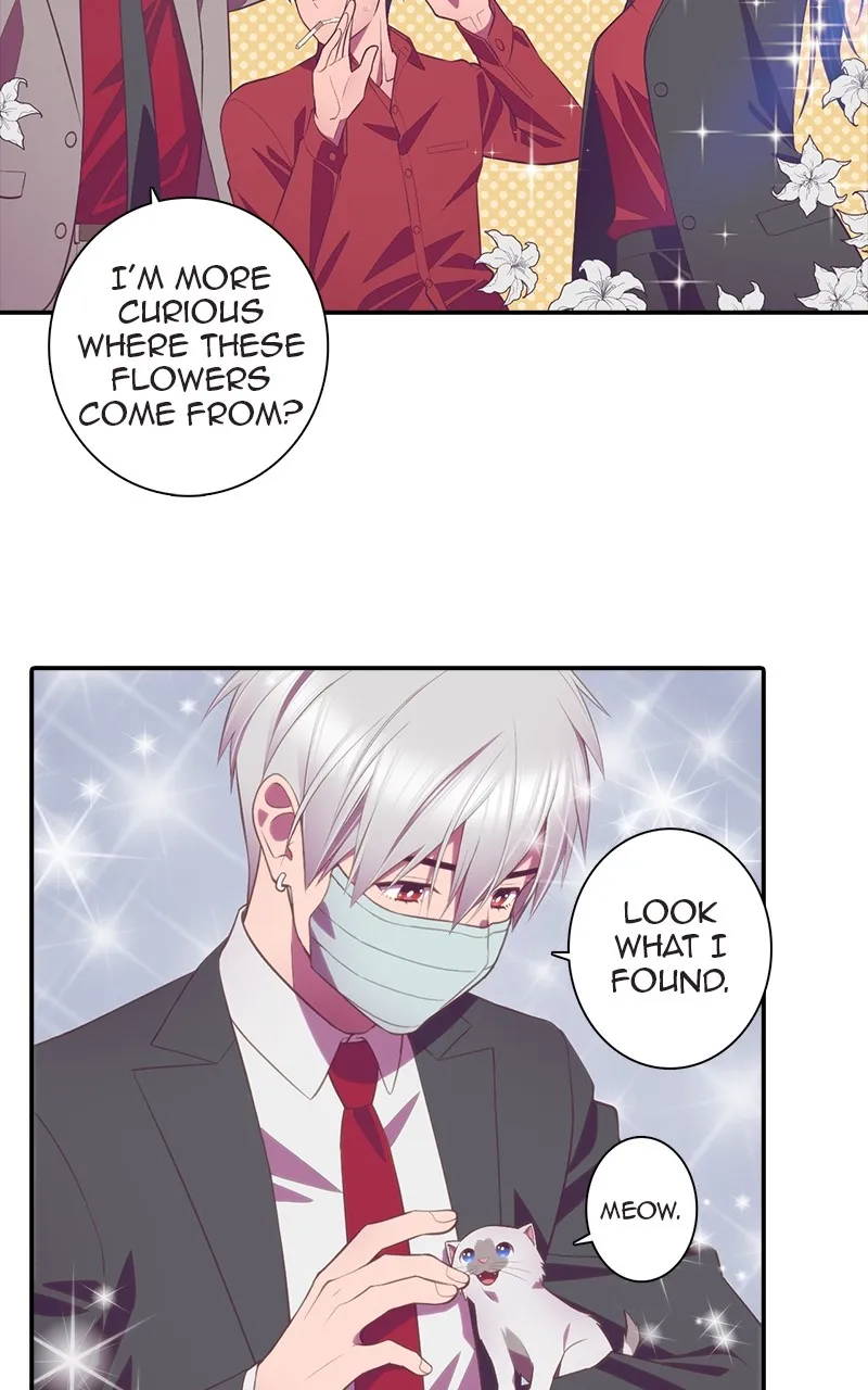 Read SHIRAI chapter 1 image 75 on Lezhin