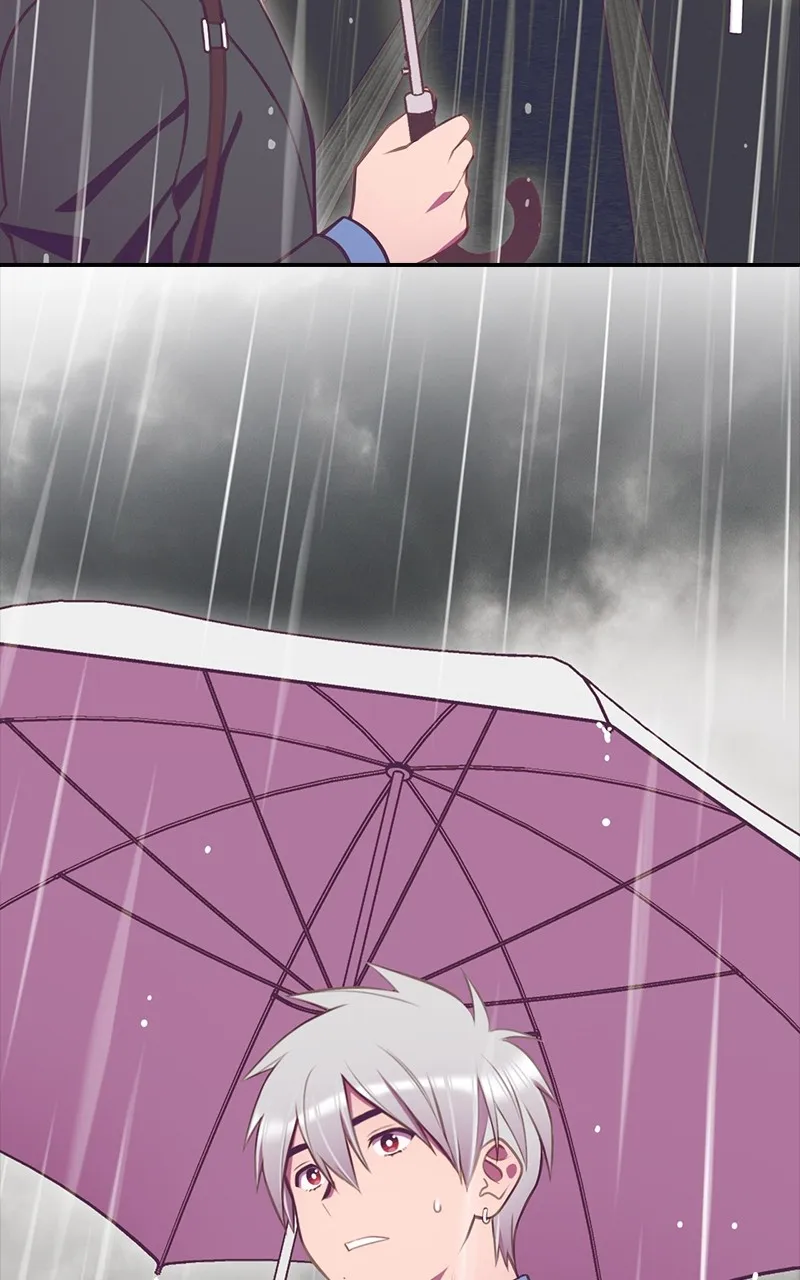 Read SHIRAI chapter 13 image 32 on Lezhin