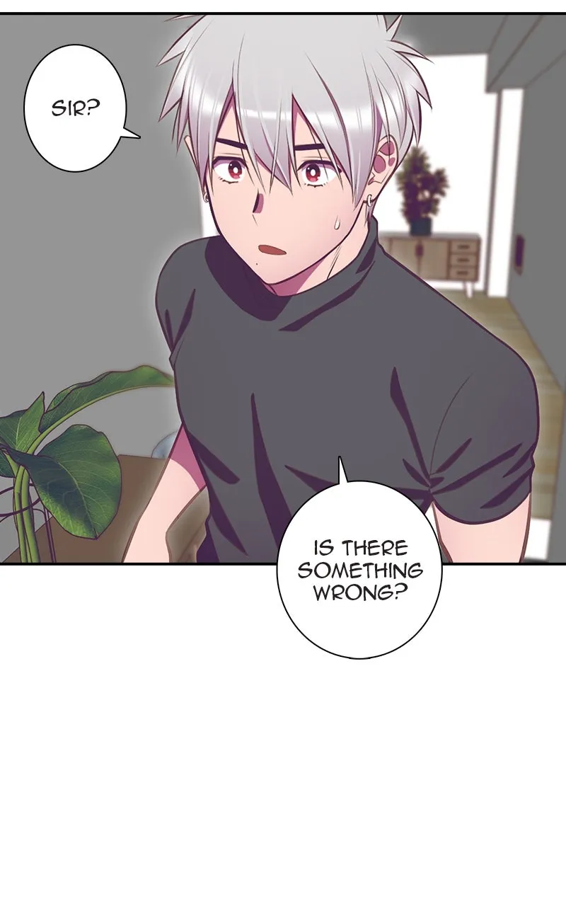 Read SHIRAI chapter 13 image 49 on Lezhin