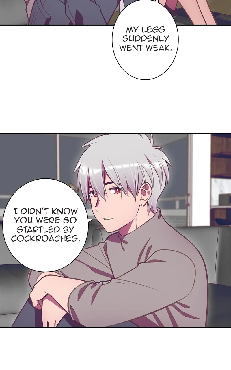 Read SHIRAI chapter 15 image 32 on Lezhin