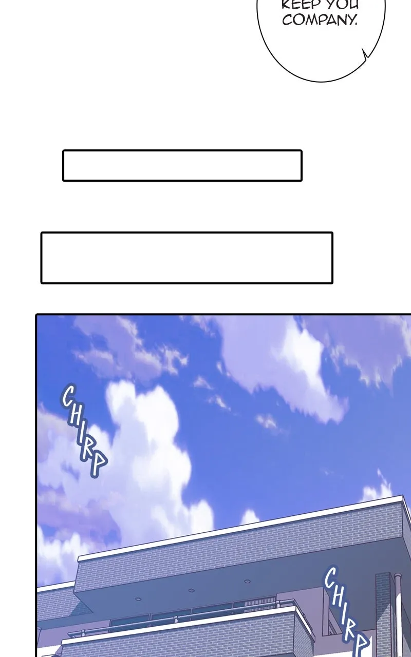 Read SHIRAI chapter 15 image 41 on Lezhin