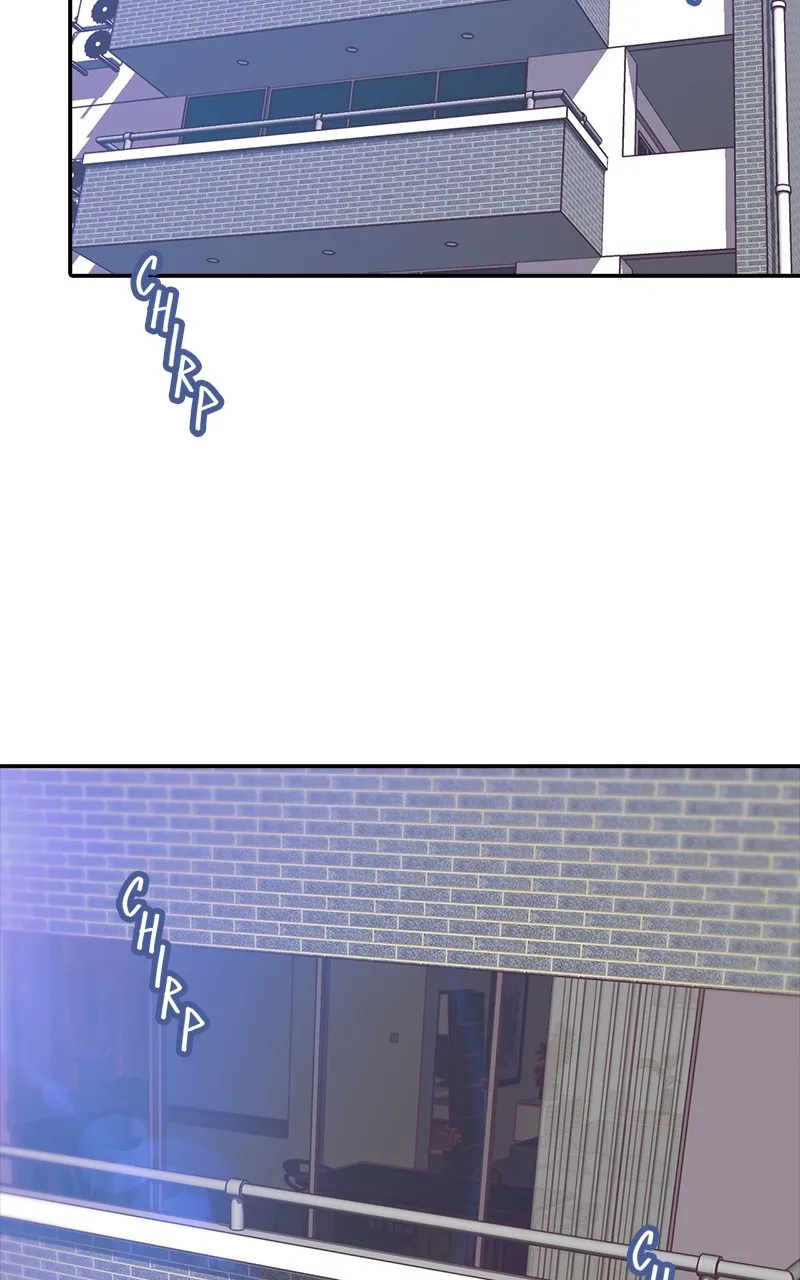 Read SHIRAI chapter 15 image 42 on Lezhin
