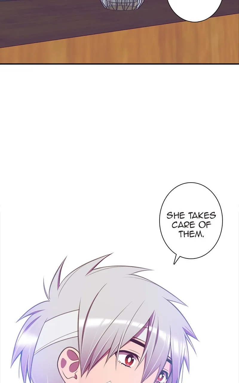 Read SHIRAI chapter 18 image 29 on Lezhin